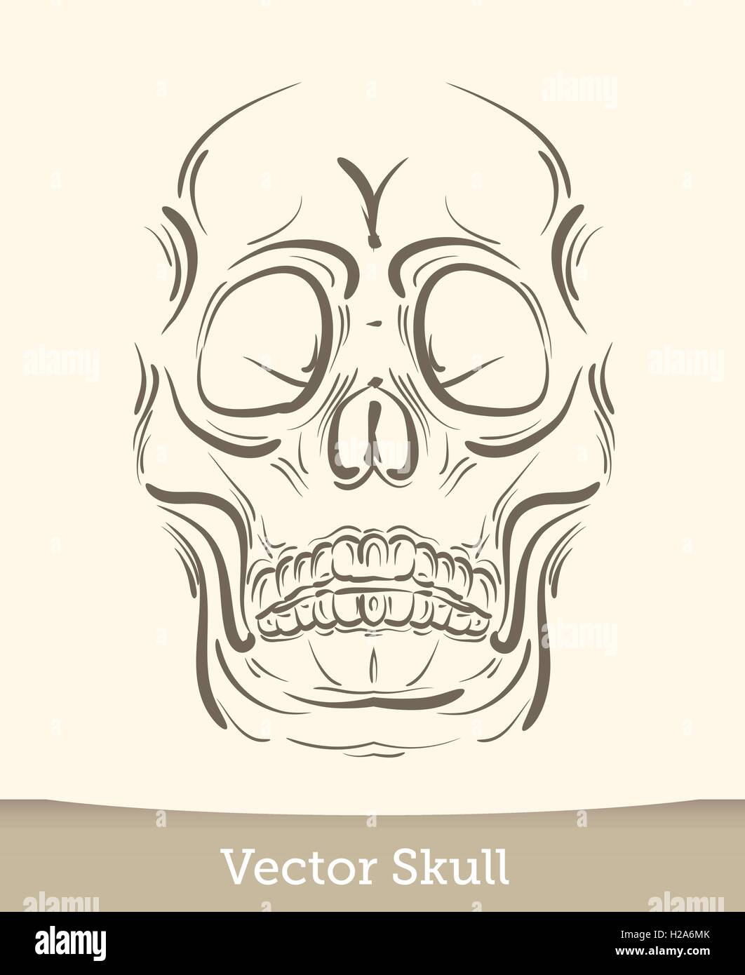 skull illustration isolated on white background. Vector mode Stock ...