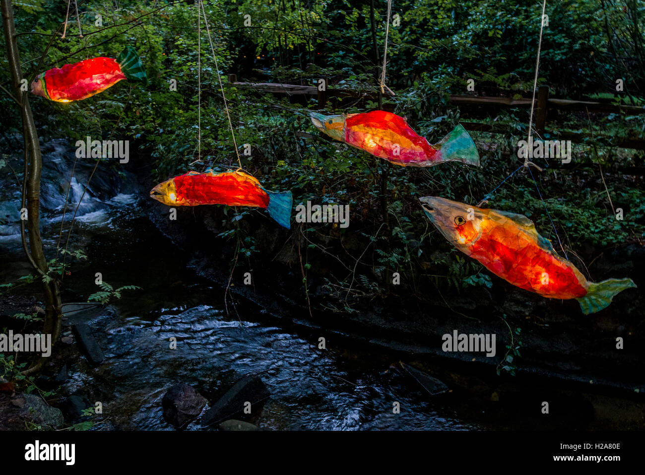 Renfrew Ravine Moon Festival, Renfrew Park, Vancouver,  British Columbia, Canada Stock Photo