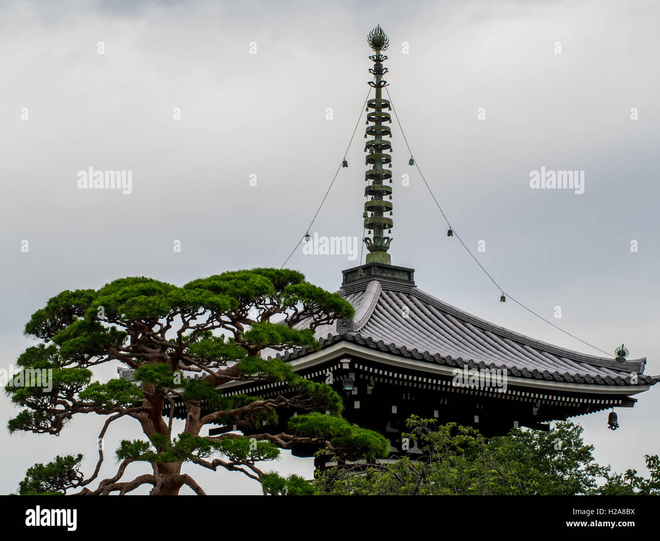 Taho-to Pagoda,  Gokokuji temple,  Bunkyo, tokyo, japan. top spire of a pagoda is called the sorin in Japanese, Stock Photo
