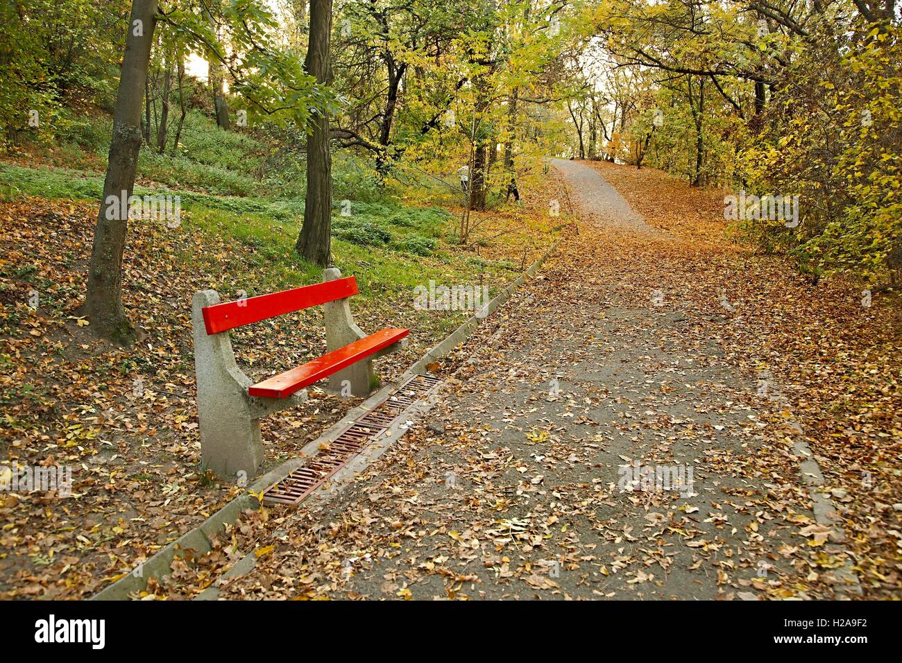 Autumn park with bench Stock Photo