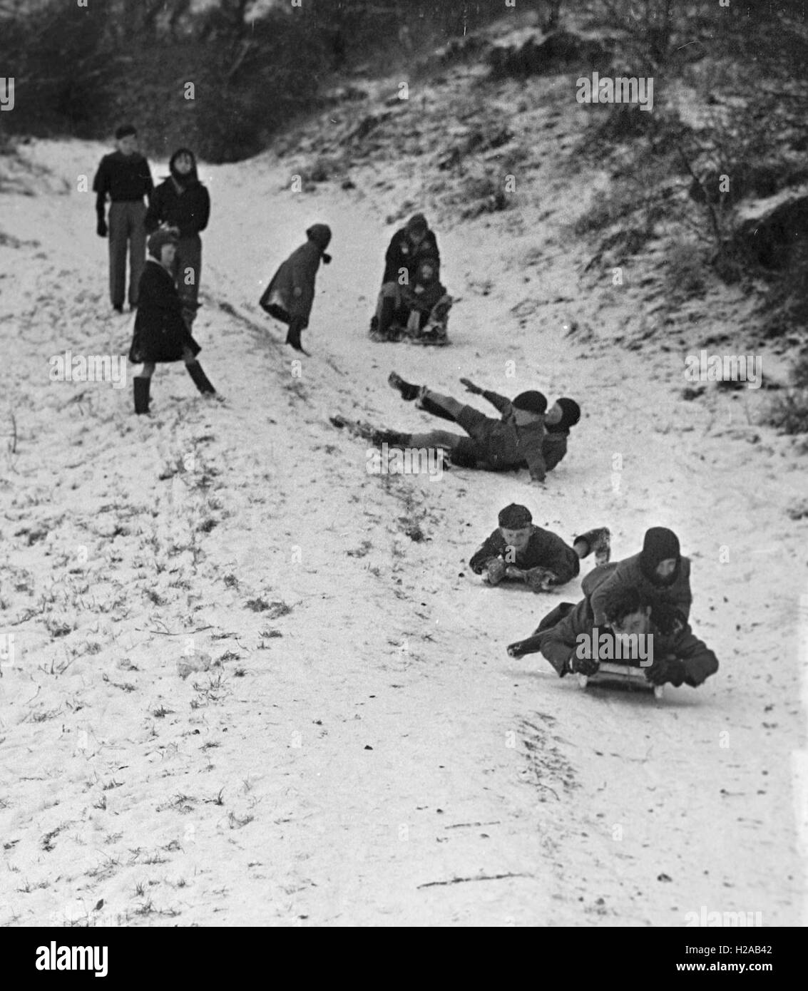 Children go sledging in the snow in Brighton during the cold winter of 1947. Photo by Tony Henshaw Stock Photo