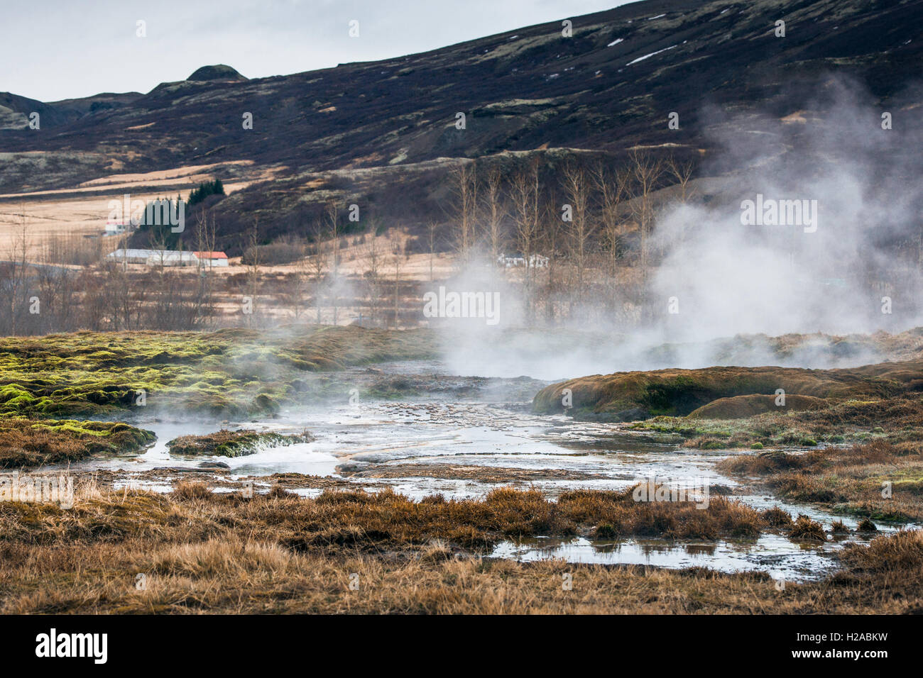Geothermal swamp with mist in icelandic nature Stock Photo