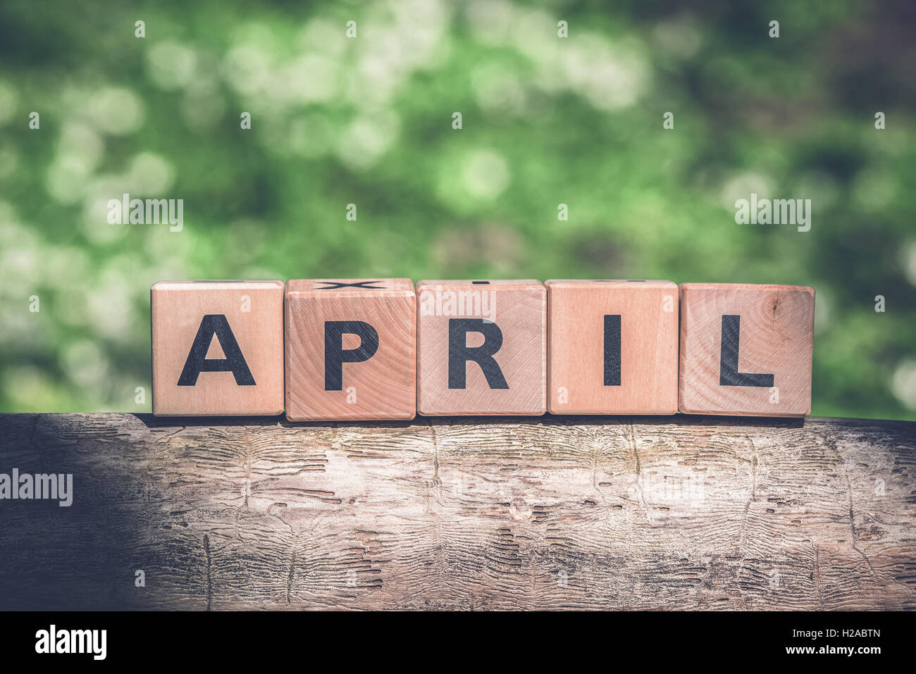 April spring sign in a green garden in a tree Stock Photo - Alamy