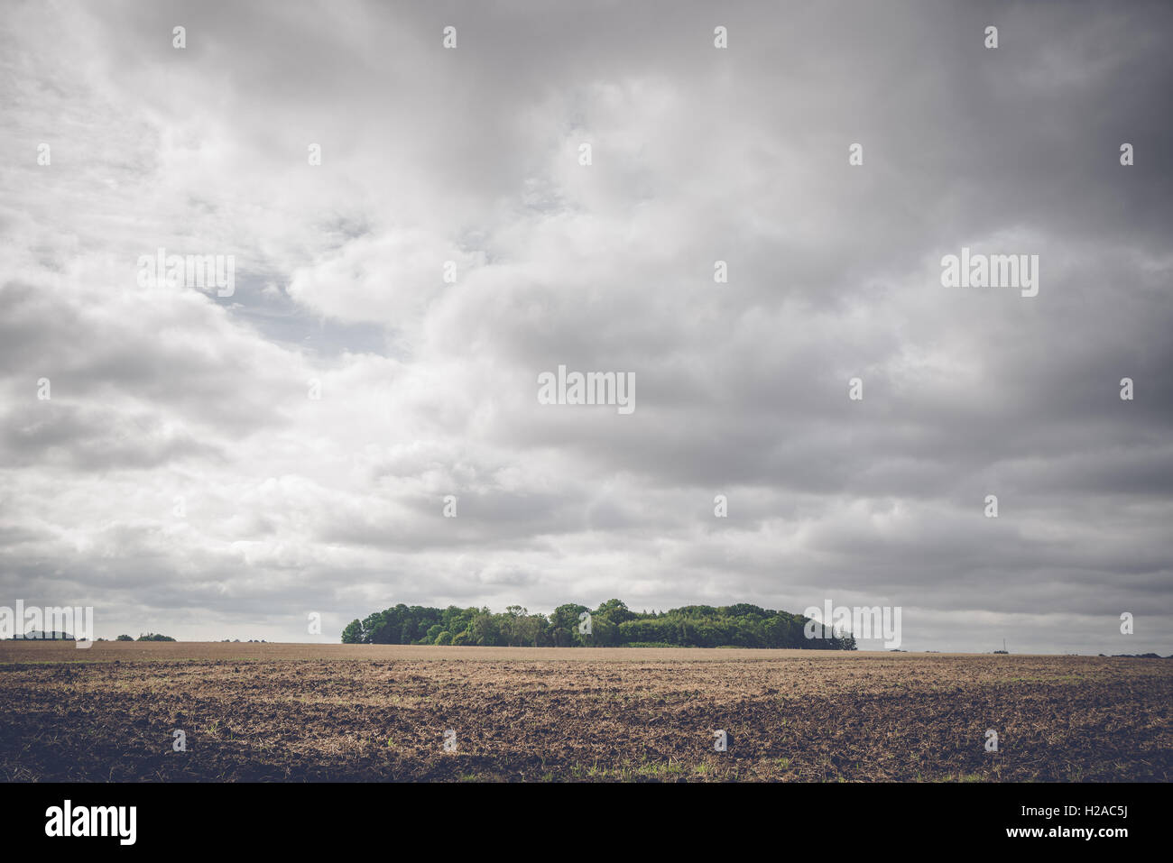 Summer forest scene farm hi-res stock photography and images - Alamy