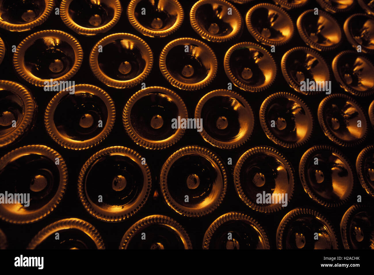 Bottles of wine in a winery Stock Photo