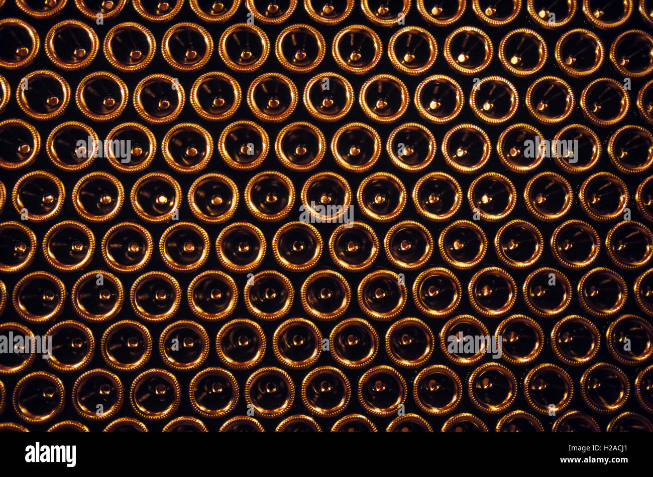 Bottles of wine in a winery Stock Photo - Alamy