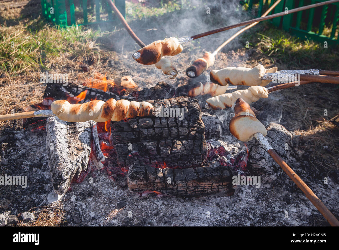 Bread on sticks over an outdoor campfire in the summer Stock Photo Alamy