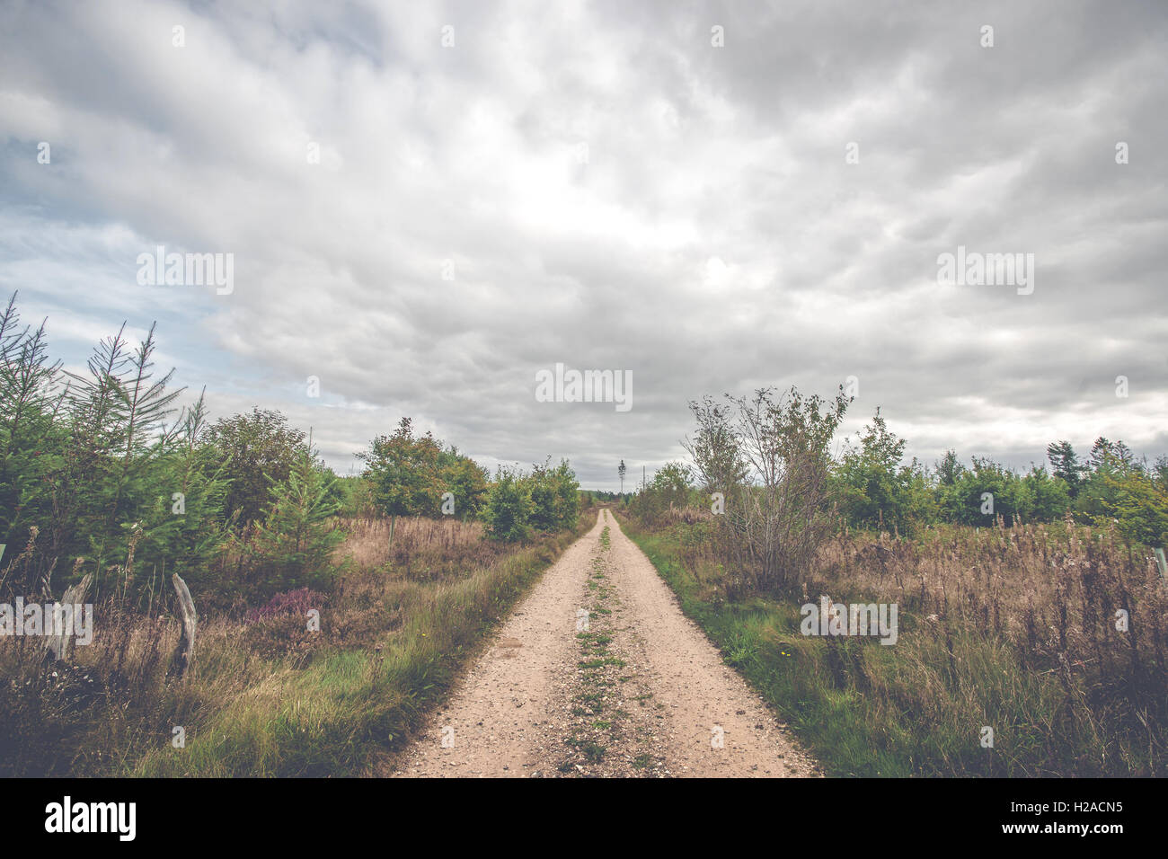Fall Countryside Trail Dark clouds over a countryside trail in the fall Stock Photo - Alamy