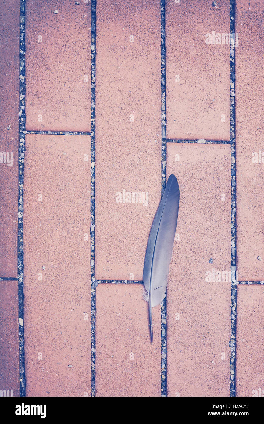 Feather wallpaper hi-res stock photography and images - Alamy