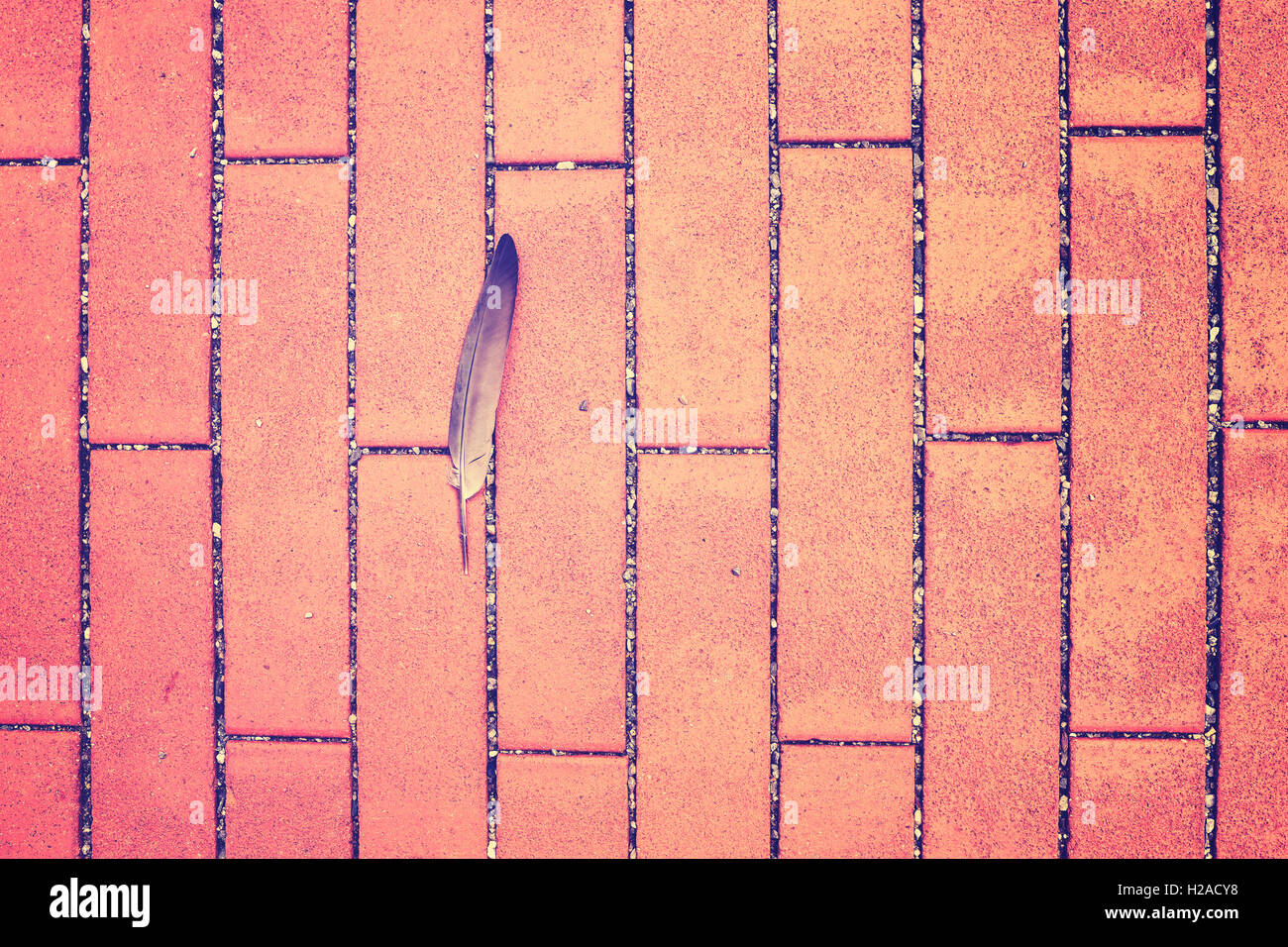 Feather Wallpaper High Resolution Stock Photography and Images - Alamy
