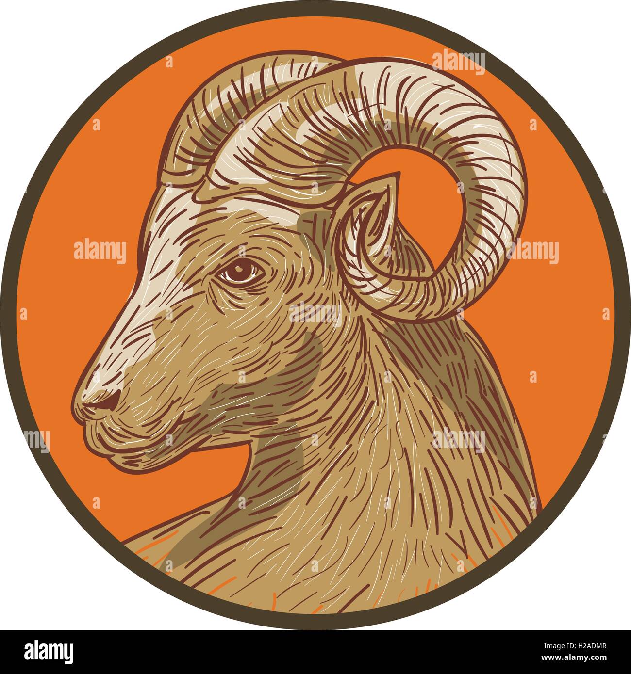 Easy How To Draw A Ram Head Tutorial And Ram Head Coloring