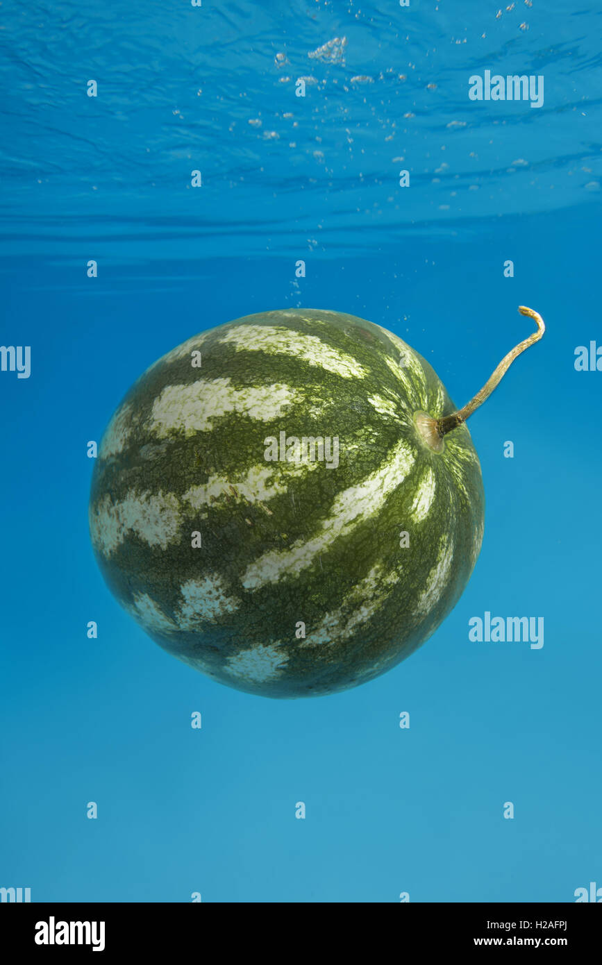 watermelon splashing in blue water Stock Photo