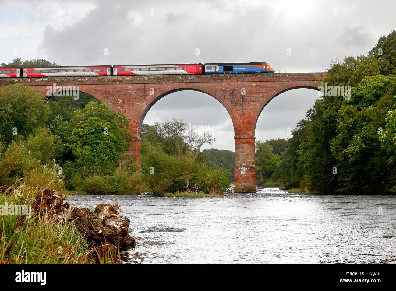 East Midlands Trains InterCity 125 crossing Wetheral Viaduct over the River Eden. Wetheral, Newcastle & Carlisle Railway, UK. Stock Photo