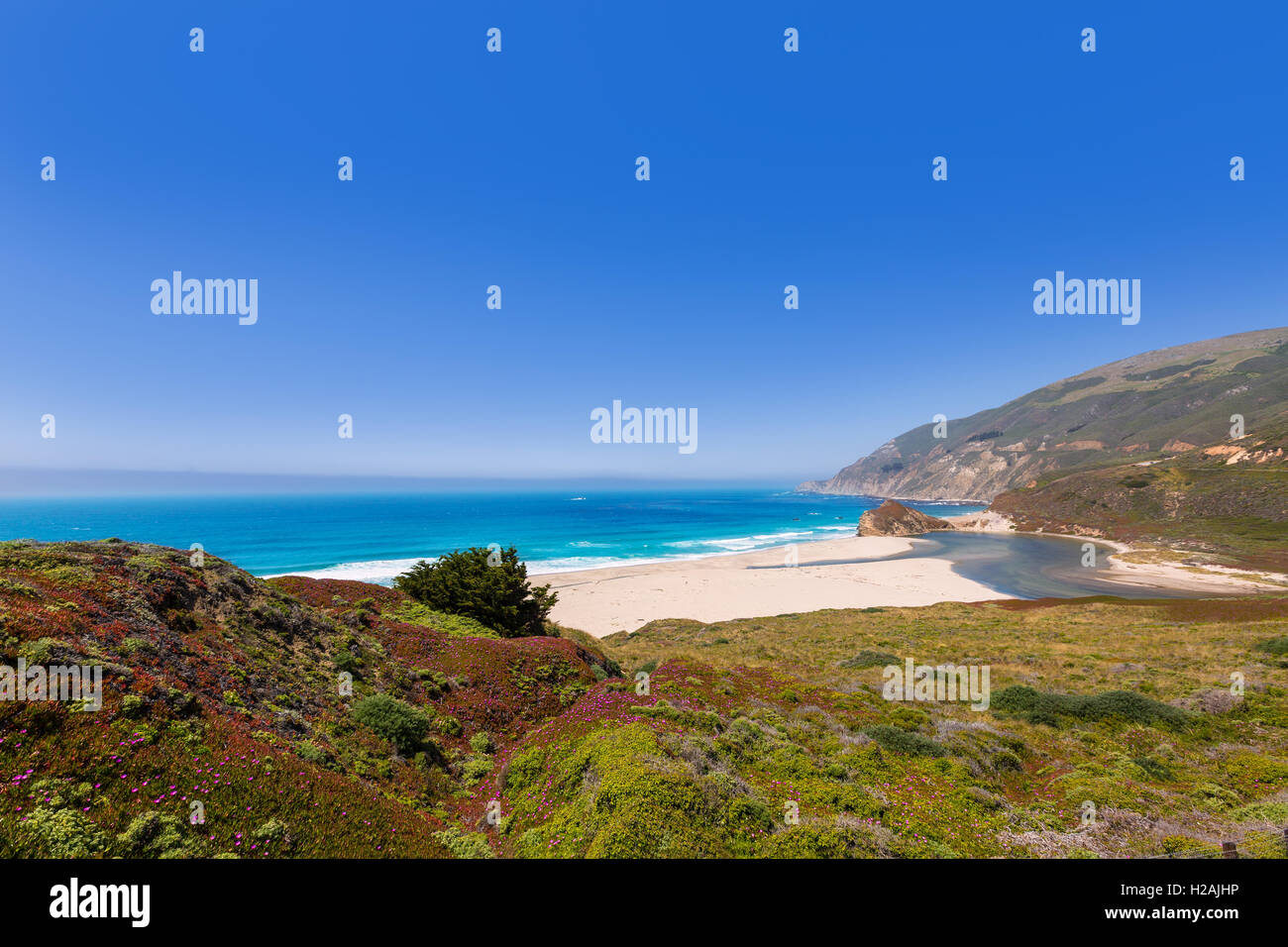 California beach in Big Sur in Monterey Pacific Highway 1 Stock Photo