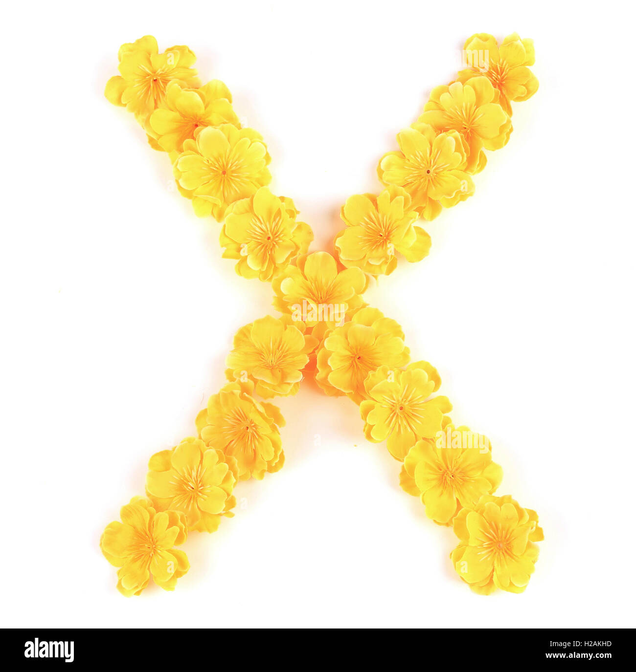 Letter X flower alphabet Stock Photo Alamy