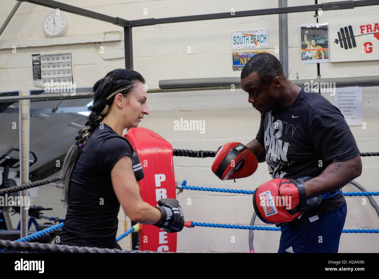 young female working out sparring with male boxing trainer in a gym england uk Stock Photo Alamy