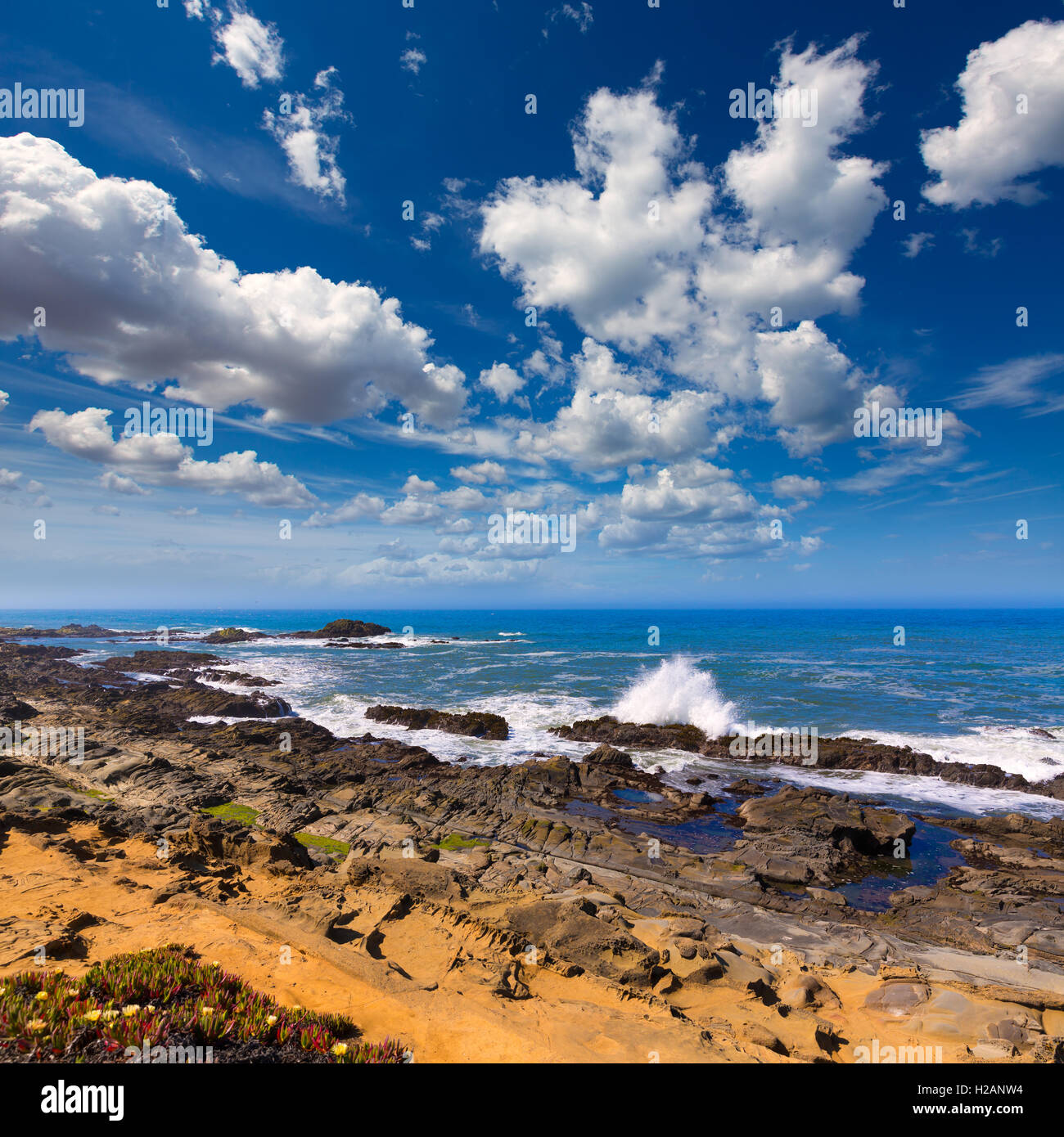 California Bean Hollow State beach in Cabrillo Hwy Stock Photo Alamy