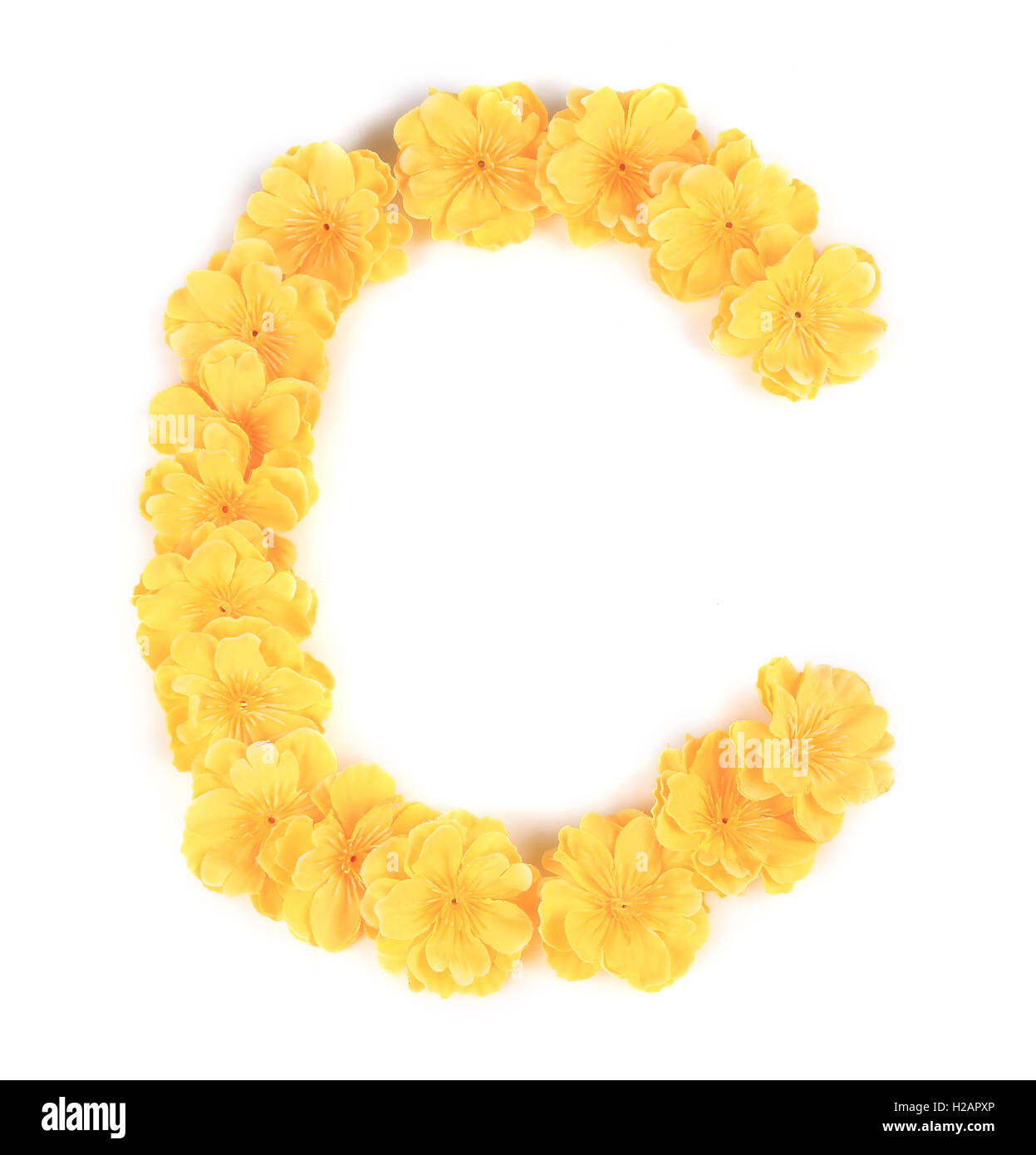 Letter C flower alphabet. Stock Photo
