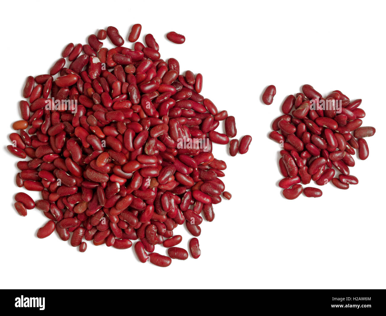 bean counter accounting banking concept Stock Photo Alamy