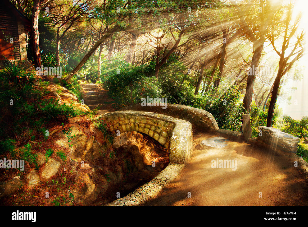 Mystical Park. Old Trees and Ancient Stone Bridge. Pathway Stock Photo
