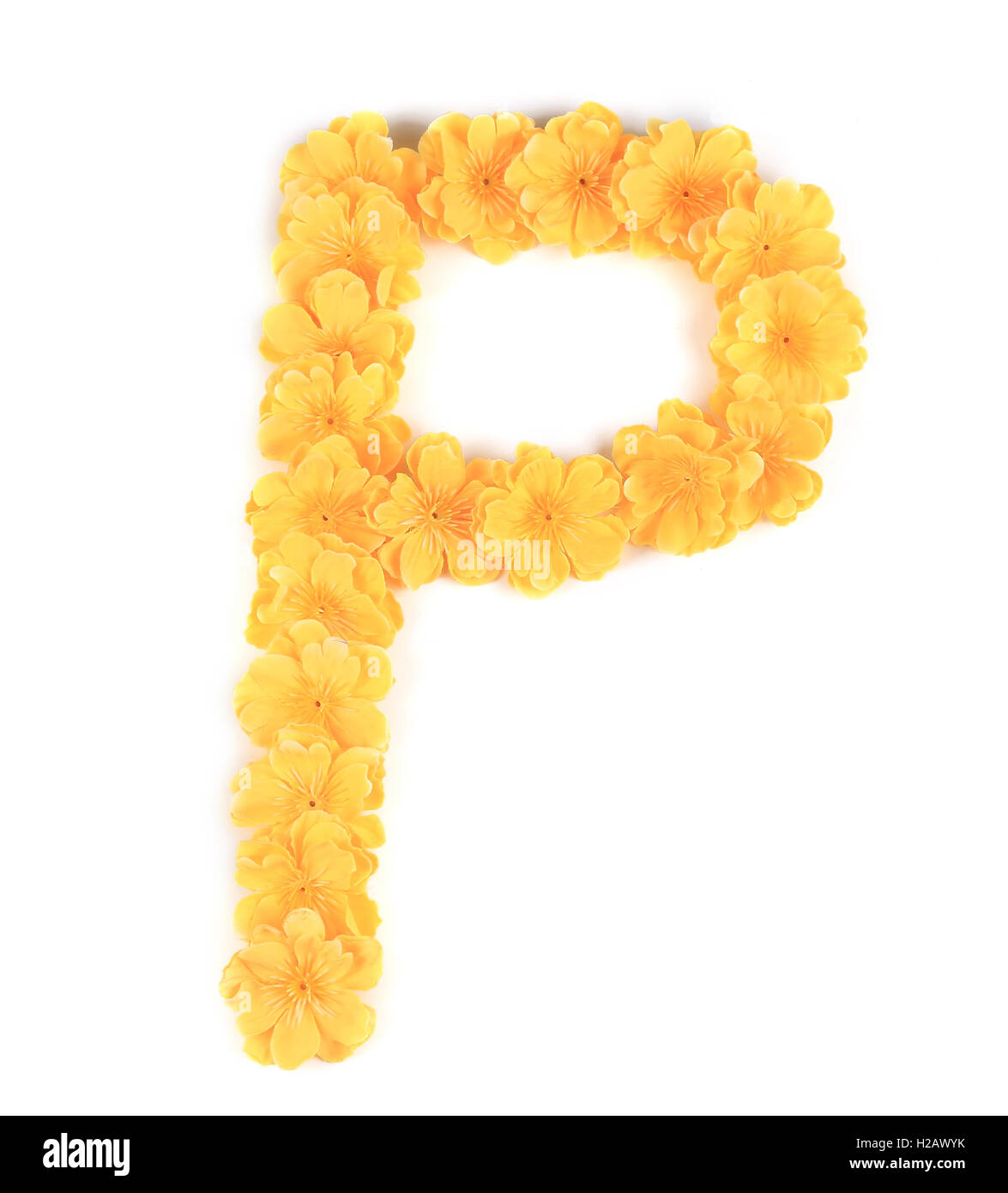 Letter P flower alphabet Stock Photo - Alamy