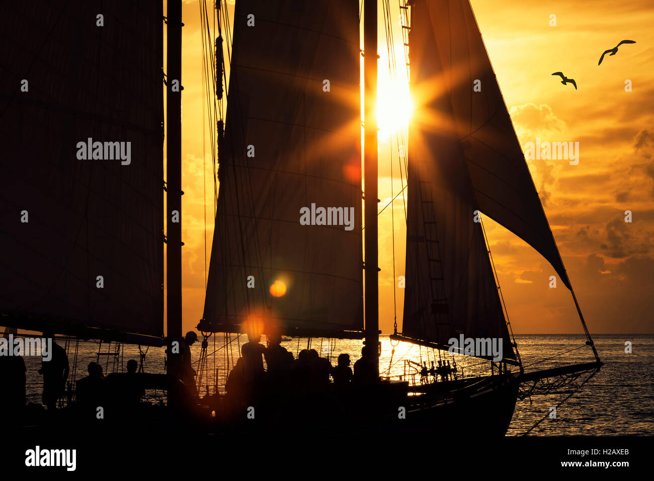 Sailboat at sunset Stock Photo - Alamy