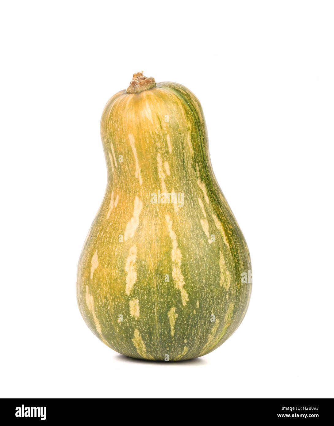 small green pumpkin Stock Photo - Alamy