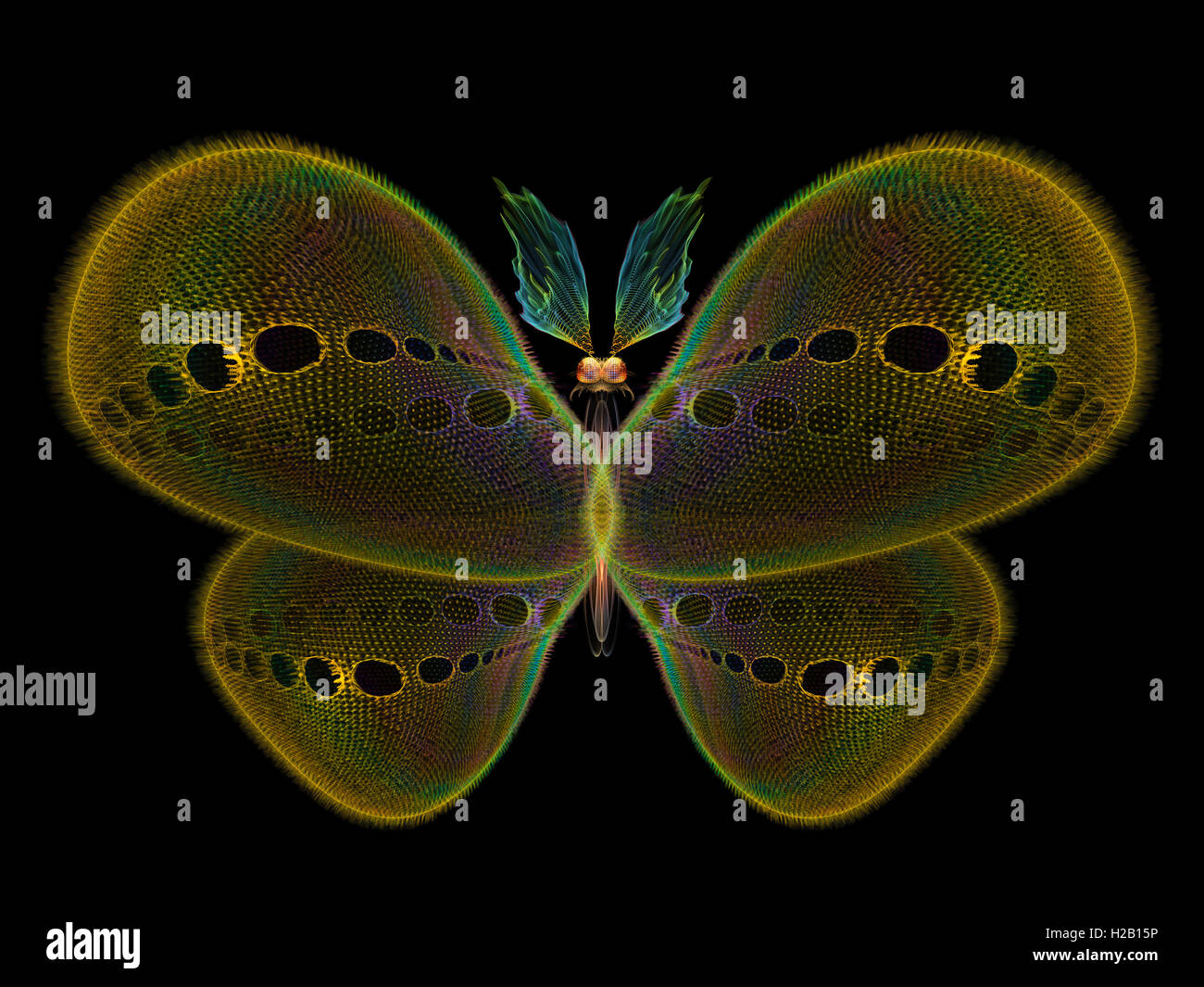 Digital Insect Virtual Butterfly Virtual outdoors hi-res stock photography and images - Alamy