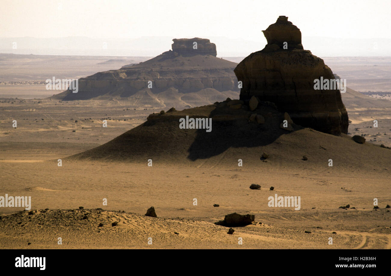 Wadi Al Hitan or Valley of the Whales famous for its fossils of whales, sharks, fish near Fayoum south of Cairo Stock Photo