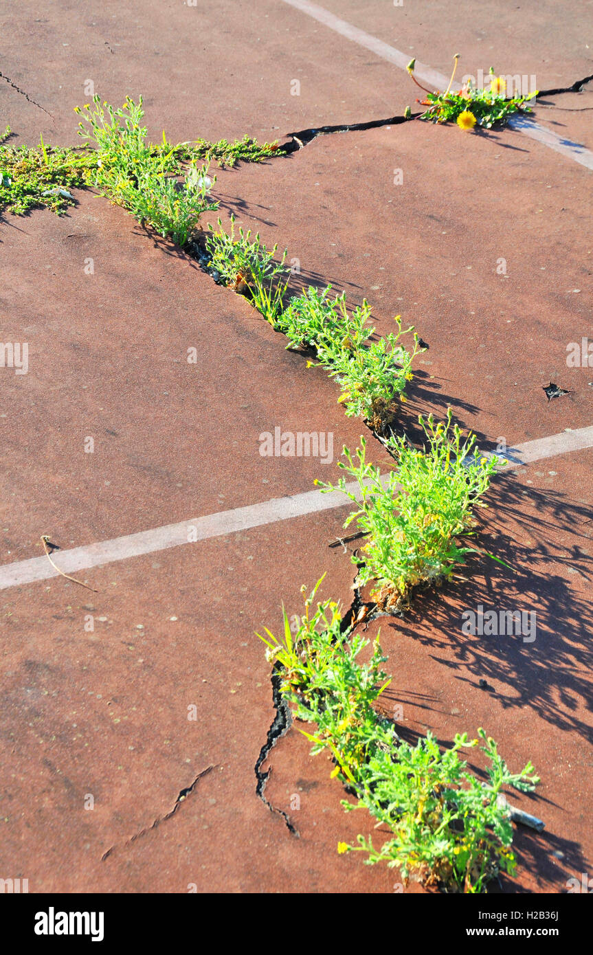 abandonned tennis court Auvergne France Stock Photo