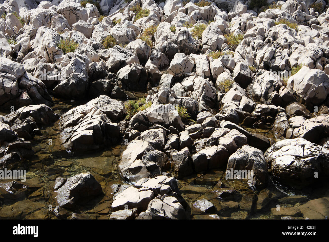 white rocks in water Stock Photo
