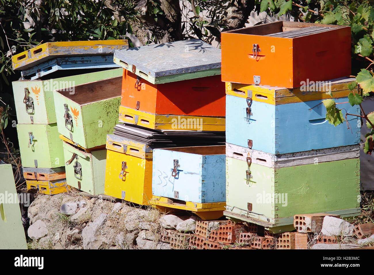 bee boxes Stock Photo