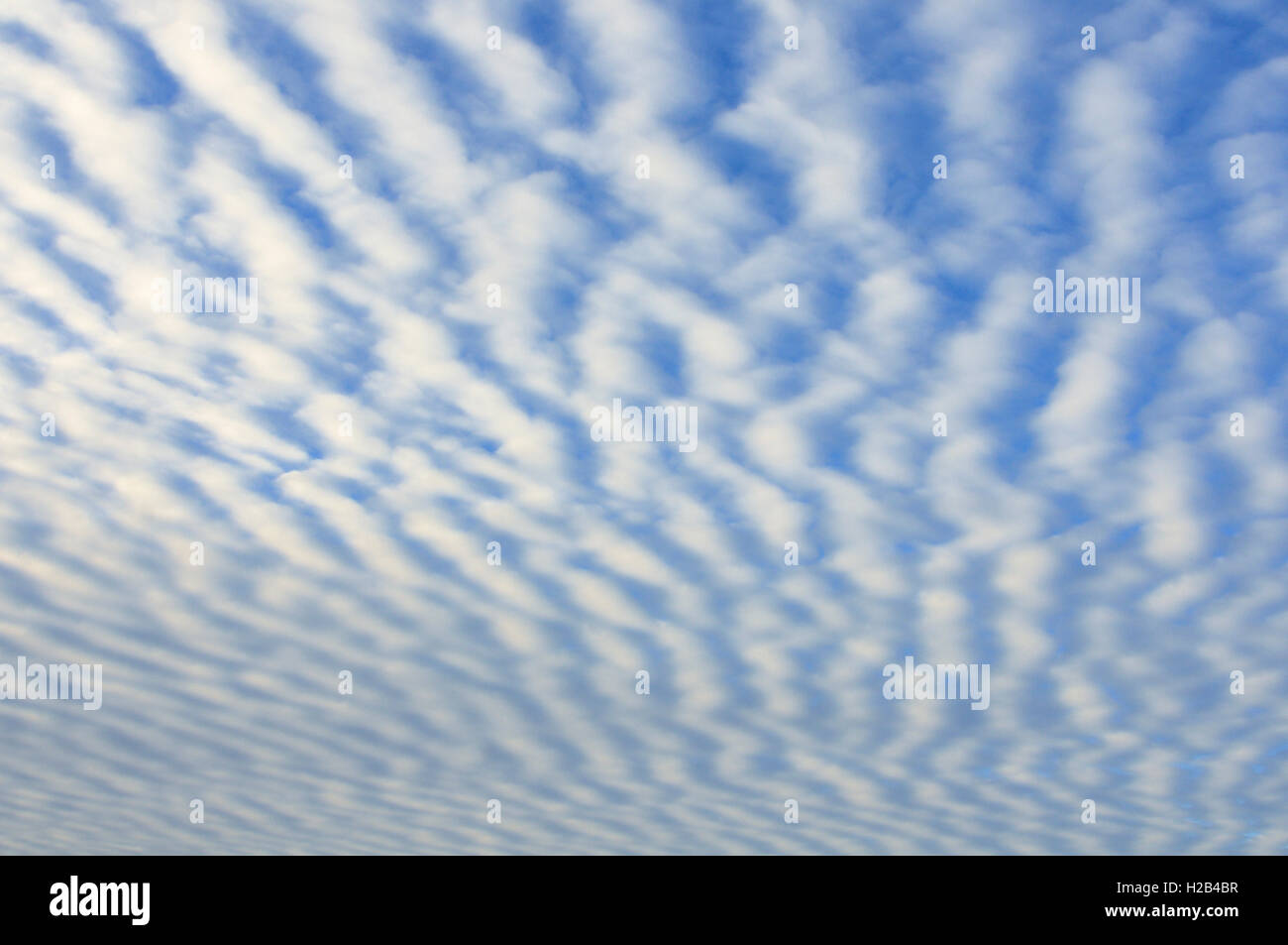 Stripy cloud formation, mackerel sky (Stratocumulus undulatus), Lower Saxony, Germany Stock Photo