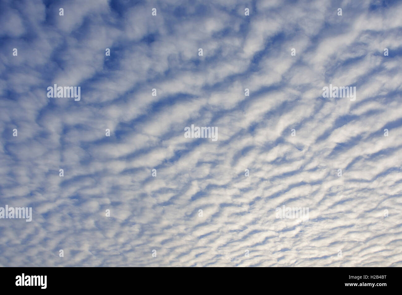 Stripy cloud formation, mackerel sky (Stratocumulus undulatus), Lower Saxony, Germany Stock Photo