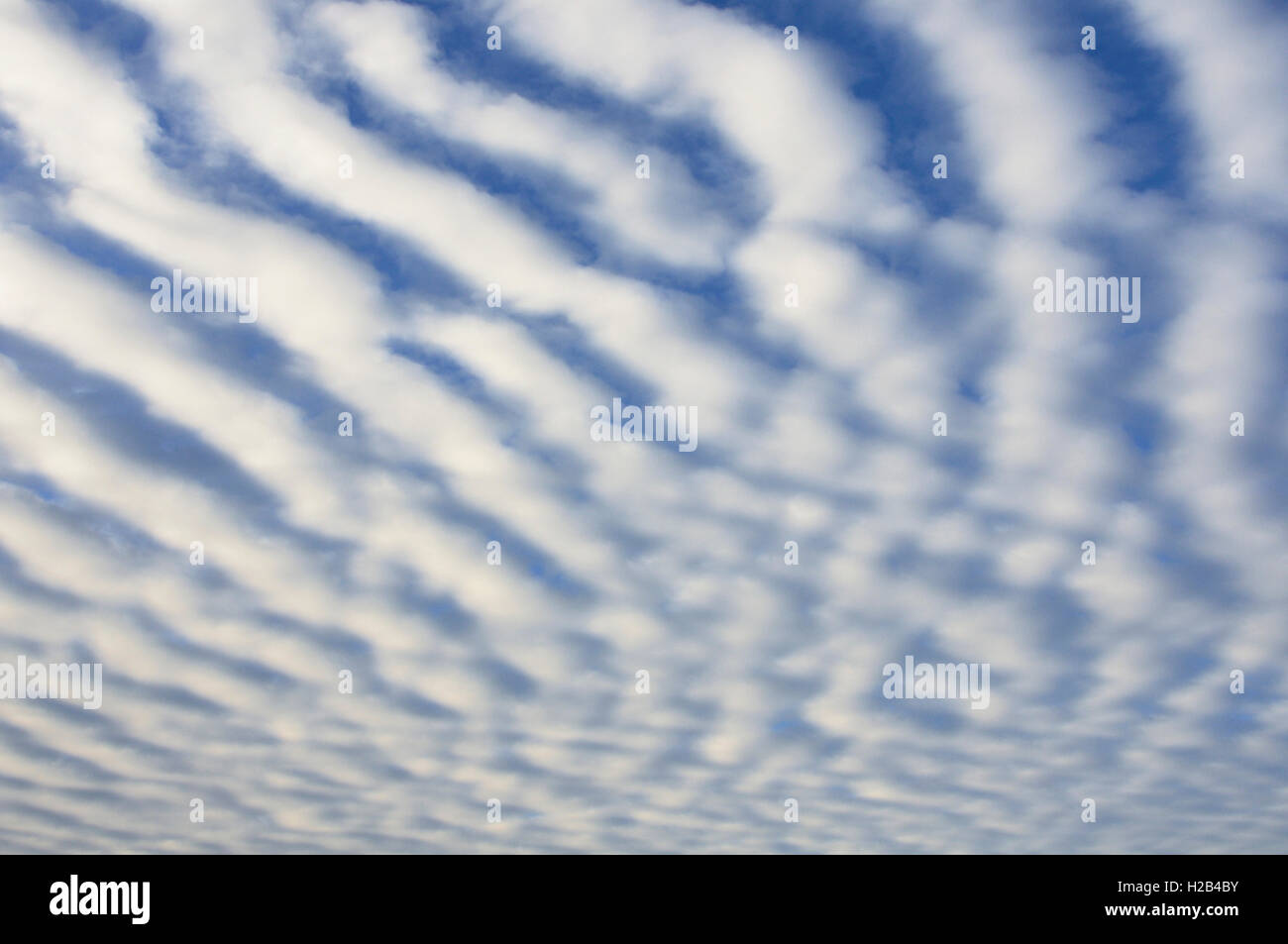 Stripy cloud formation, mackerel sky (Stratocumulus undulatus), Lower