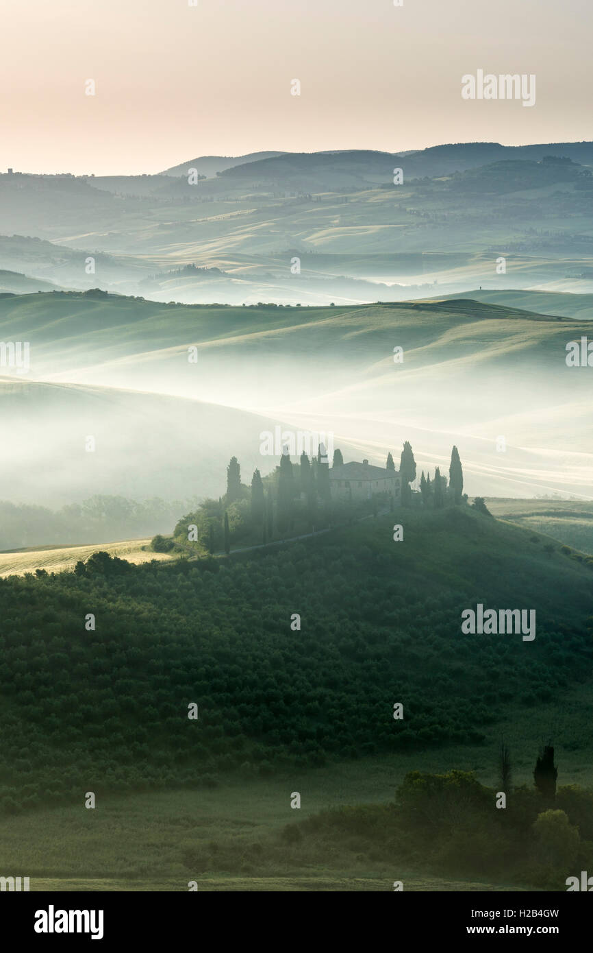 Typical green Tuscan landscape in Val d’Orcia, farm on hill, fields, cypress (Cupressus sp.) trees and morning fog at sunrise Stock Photo