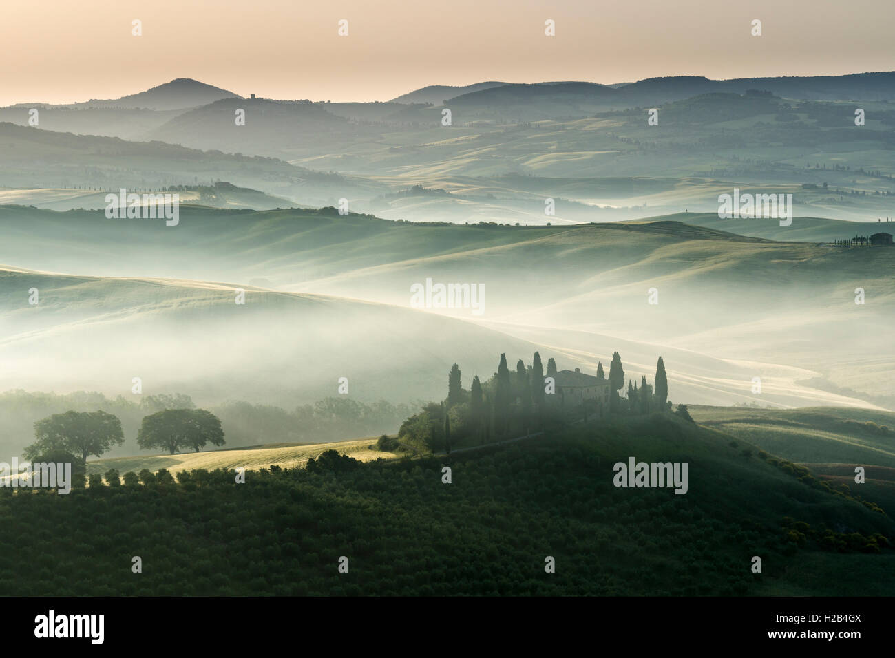 Typical green Tuscan landscape in Val d’Orcia, farm on hill, fields, cypress (Cupressus sp.) trees and morning fog at sunrise Stock Photo