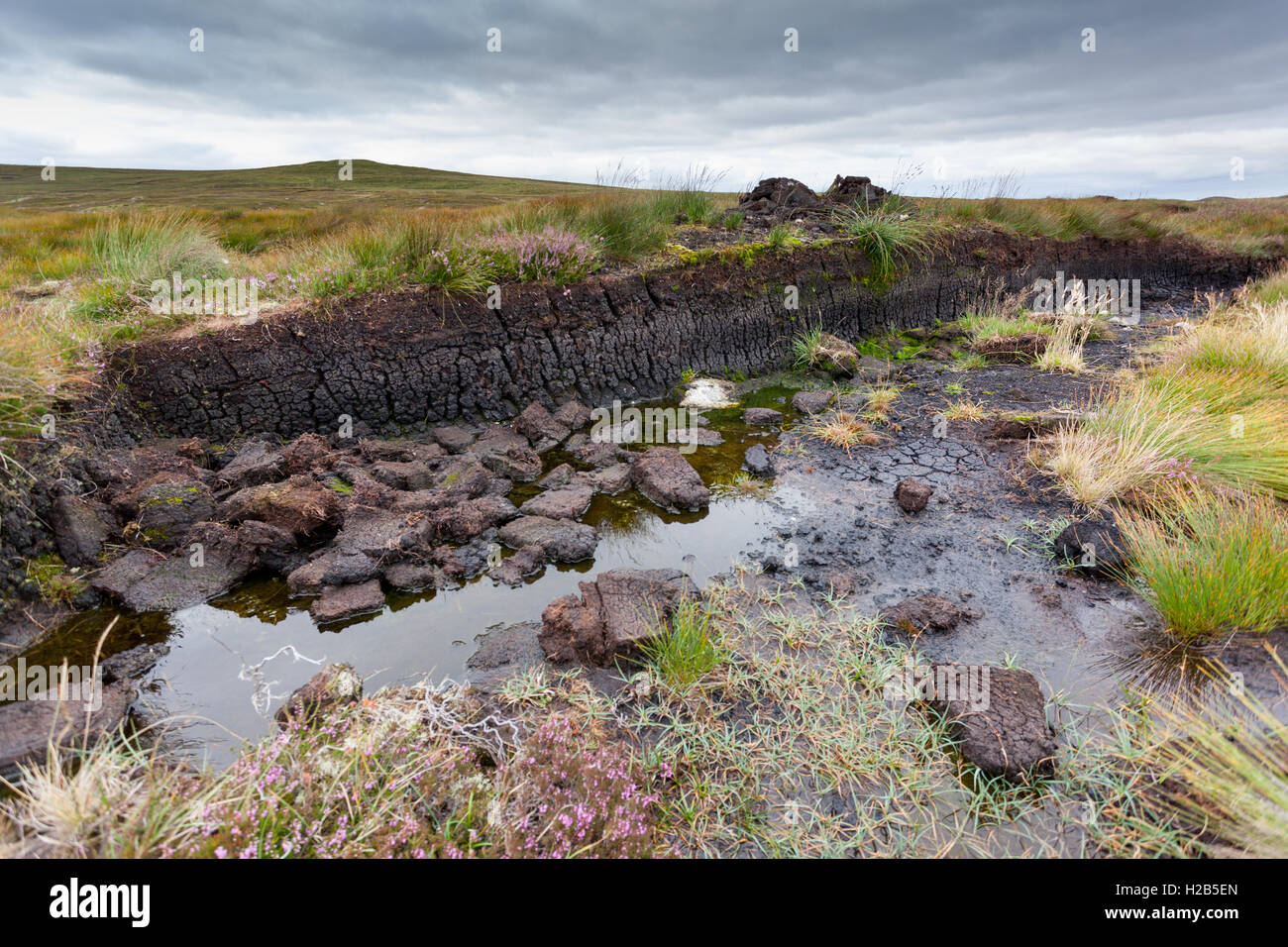Peat bog uk hires stock photography and images Alamy