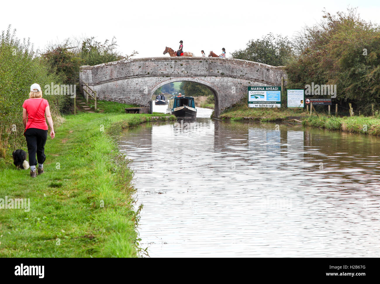 A woman walking her dog on the Shropshire Union Canal at Audlem at bridge 80 with horses and riders crossing and a narrow boat Stock Photo