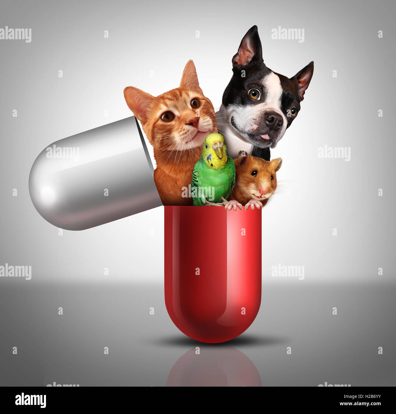 Pet medicine and animal prescription drugs as veterinary pharmaceutical therapy and vet medical concept as a giant pill with a dog cat hamster and bird emerging out of a capsule pill with 3D illustration elements, Stock Photo
