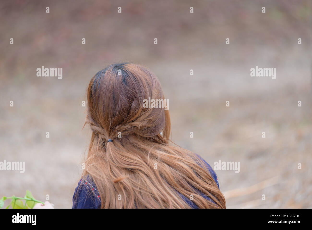 Back side of long colored hair lady. Stock Photo