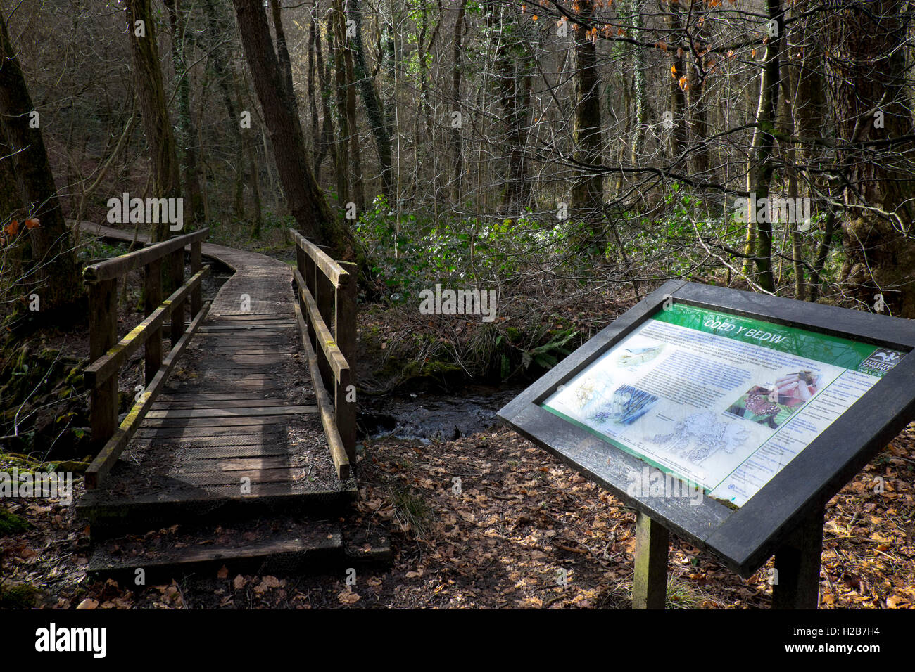 Information sign, Coed y Bedw nature reserve near Taff's Well, Cardiff, South Glamorgan South Wales, UK Stock Photo