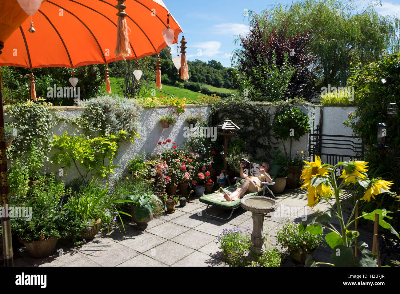 Sunbathing Garden Woman Hi res Stock Photography And Images Alamy sunbathing-garden-woman-hi-res-stock-photography-and-images-alamy