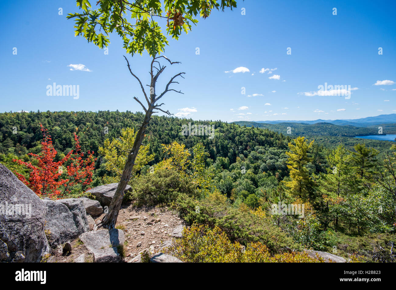 Willsboro bay hires stock photography and images Alamy