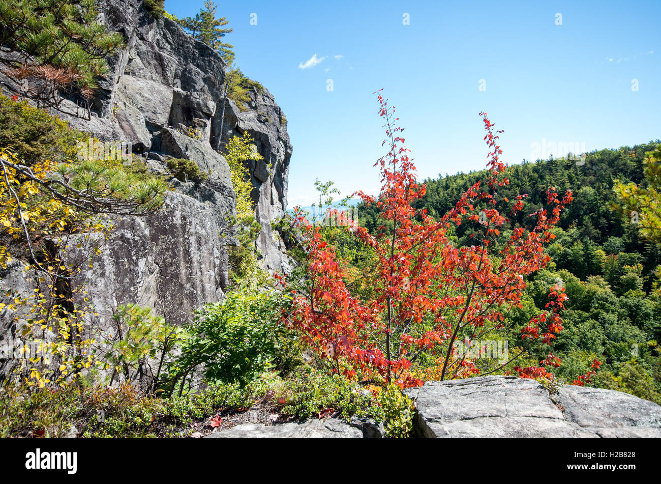 View from the summit of Rattlesnake mountain in Willsboro NY Stock