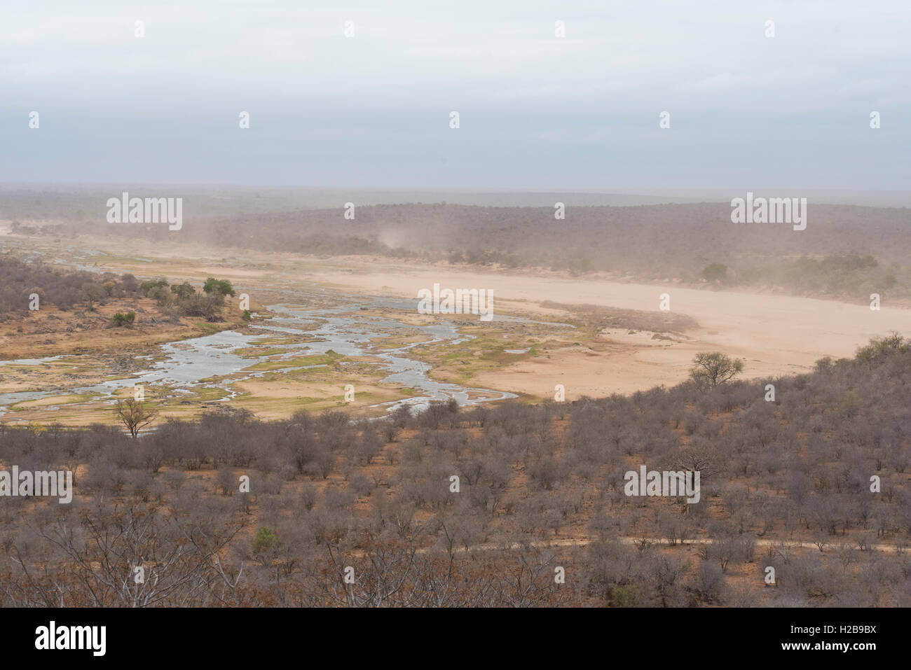 Sand being blown into the air from the dry parts of the Olifants River before the rains Stock Photo