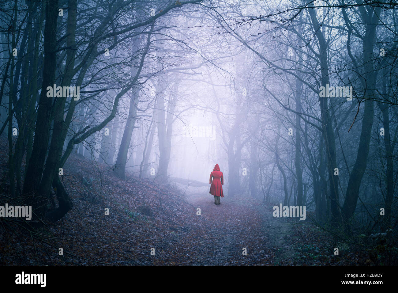 alone woman in dark forest Stock Photo
