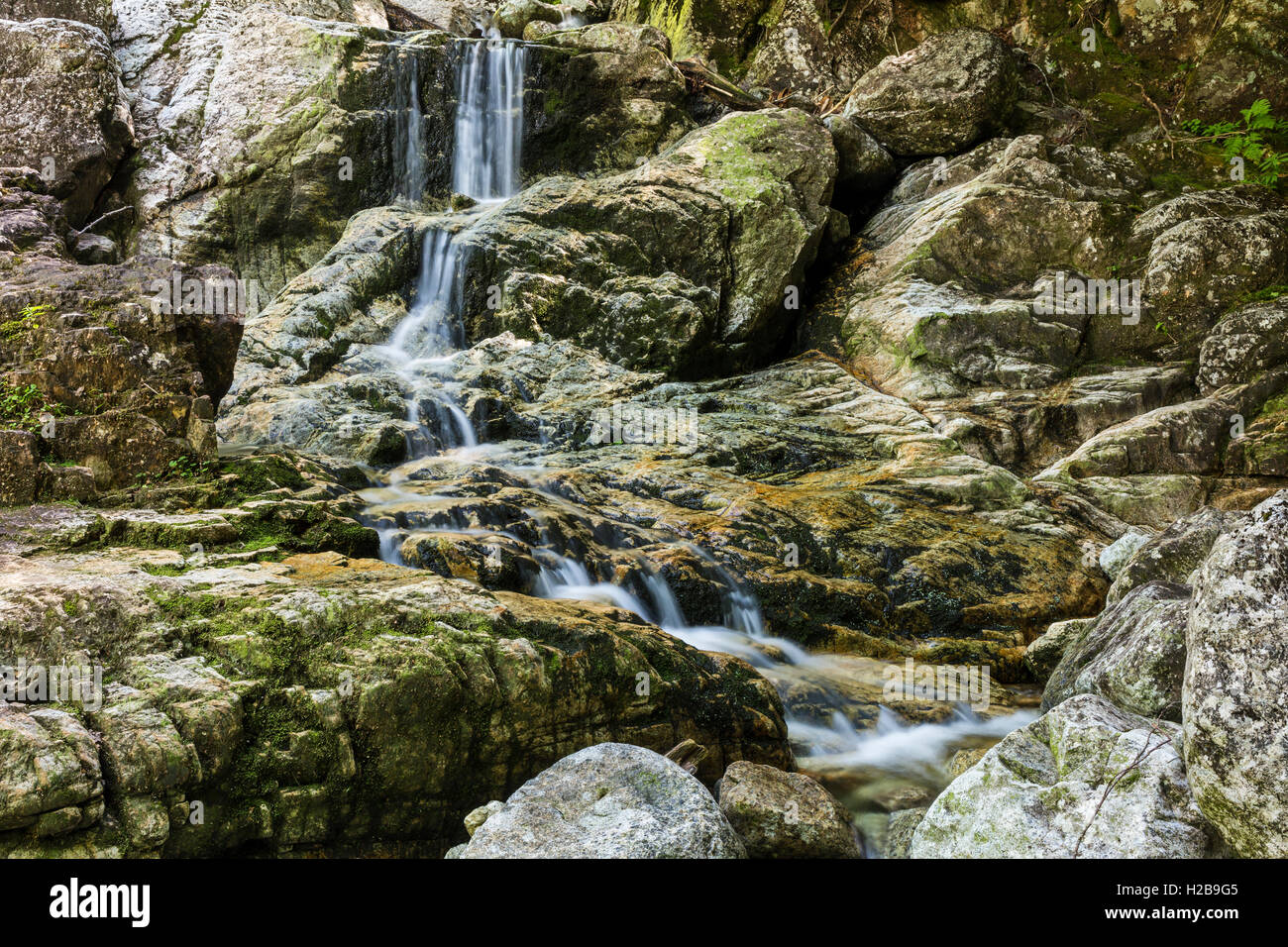 Artists Falls on Gill Brook on the Gill Brook trail at Adirondack Mountain Club near St. Huberts, New York Stock Photo