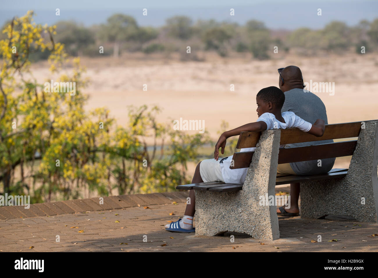 Father and son sitting on a bench in the shade enjoying the Letaba River Stock Photo