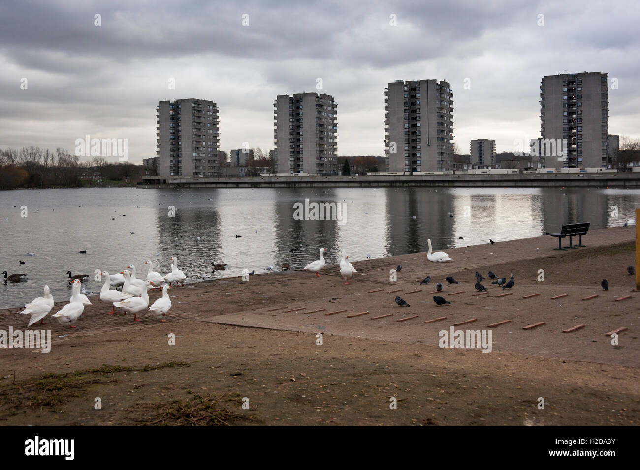 View over Southmere lake Thamesmead London Stock Photo Alamy